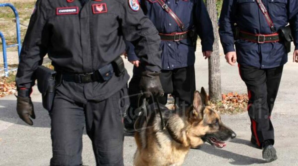 Spaccio in Alta Valmarecchia, blitz dei Carabinieri di Novafeltria, sette arresti - 