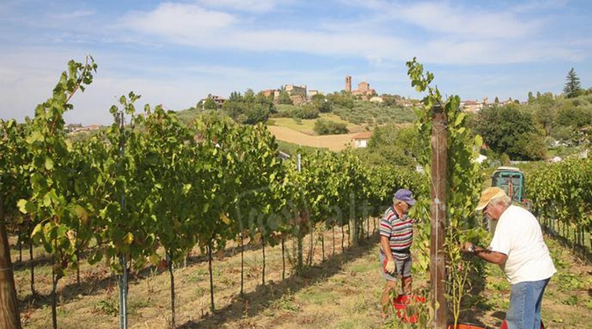 Coriano crede nel progetto 'Destinazione turistica Romagna': "nostro punto di forza l'enogastronomia" -