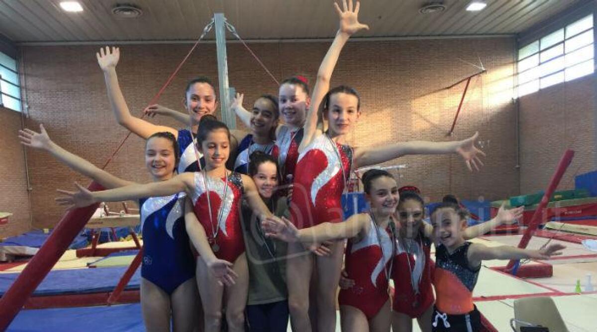 Ginnastica Artistica, buoni risultati per le Celle all'ultima prova di campionato Silver - 