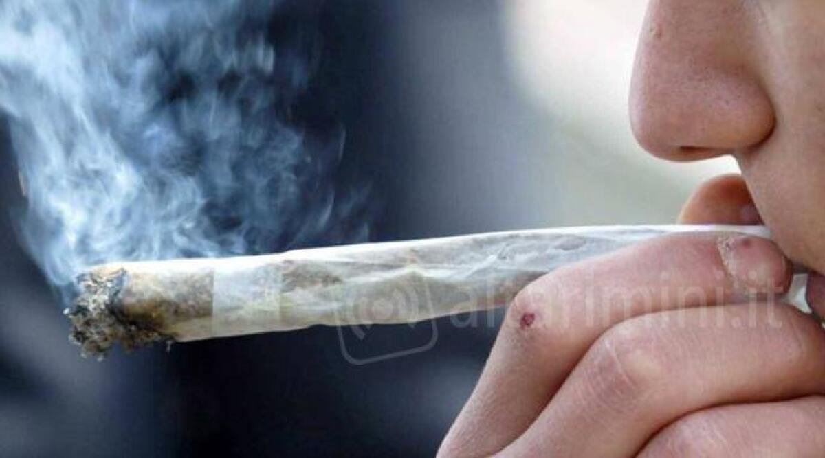 Subito licenziato il bidello spacciatore. Impassibile il 12enne sorpreso dai Carabinieri mentre comprava la droga - 