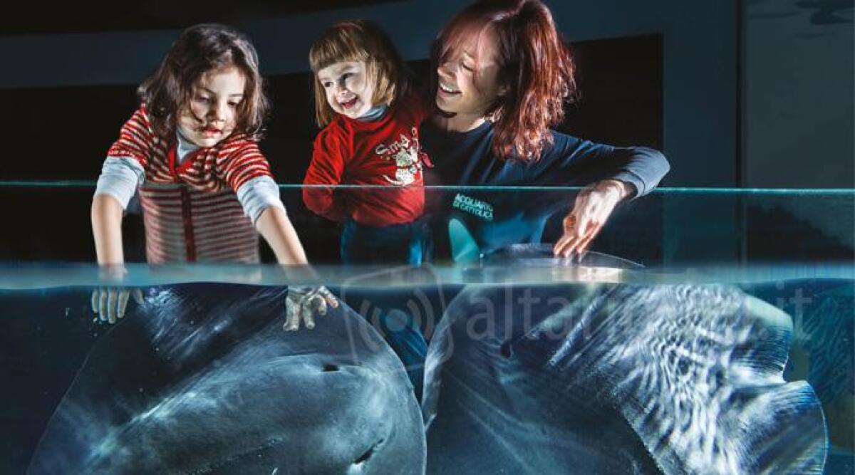 Festivit&agrave; pasquali nei grandi parchi della Riviera: ecco tutti gli eventi e le promozioni in programma - 
