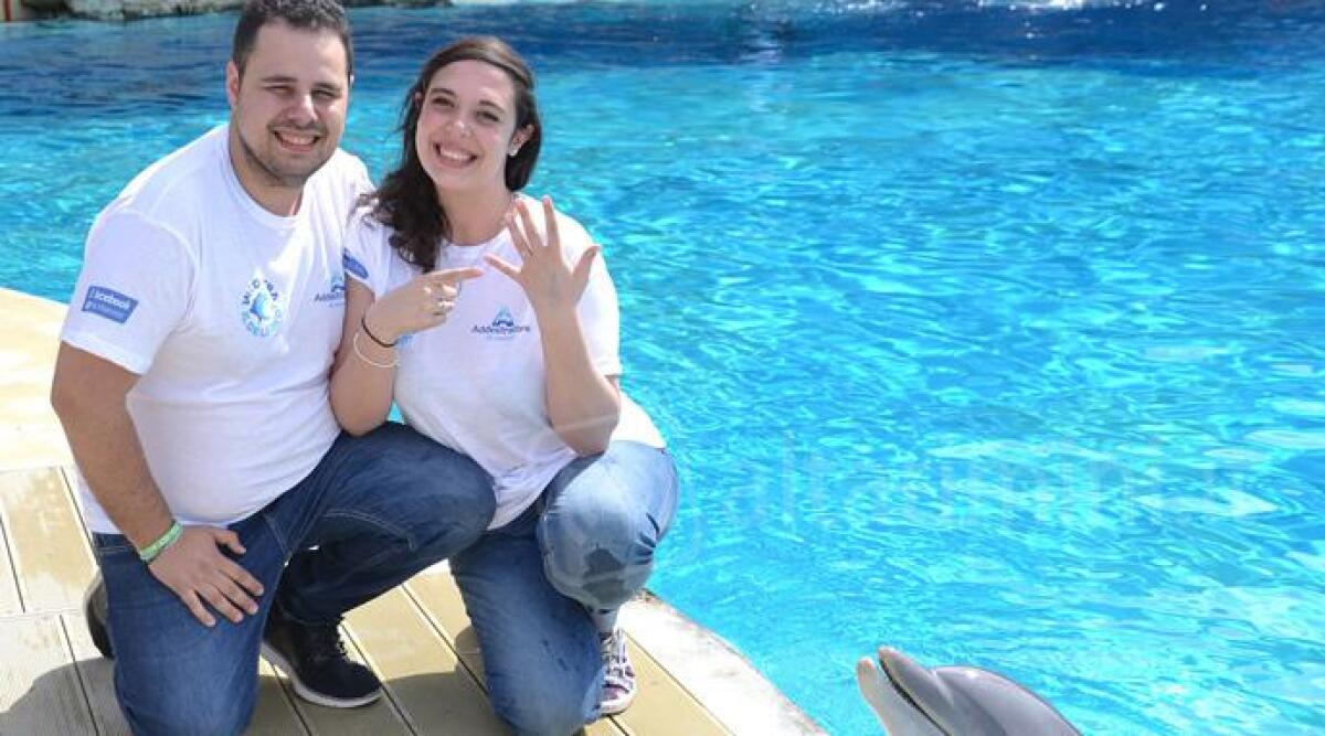 Proposta di matrimonio romantica tra i delfini a Riccione, la storia di Simone e Marta - 