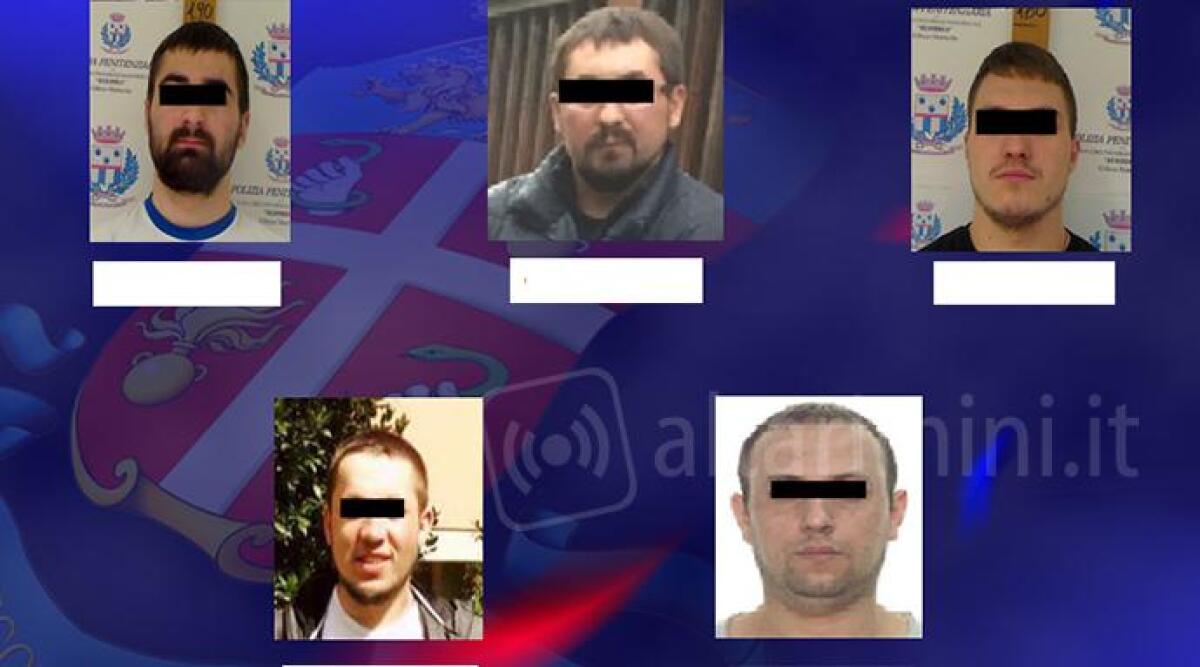 Rubavano di tutto: in abitazioni, negozi e auto. Sgominata banda di ladri, operazione dei carabinieri di Novafeltria - 
