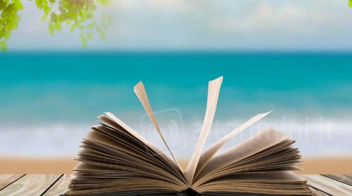 Portoverde, parte un'estate di eventi tra musica, cibo e lettura - 