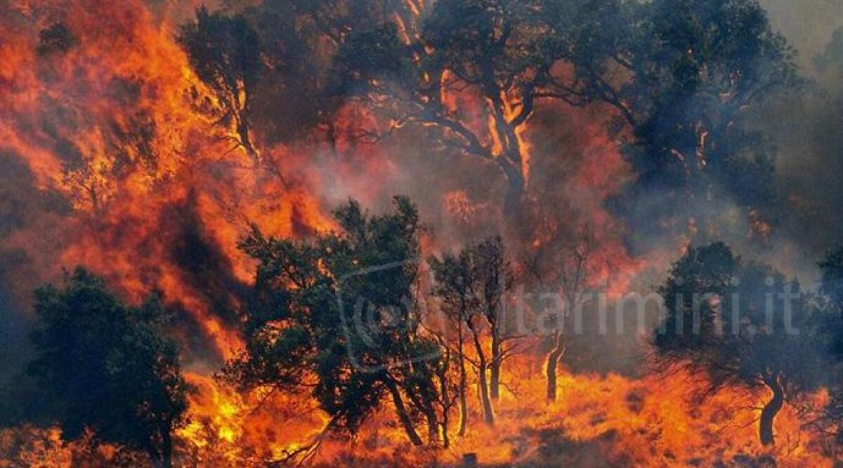 Allerta incendi nei boschi per il grande caldo: aumentano pattuglie pompieri, a Rimini anche 279 volontari - 
