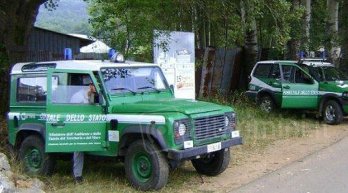 Centauro riminese evita controllo della Forestale, ma le telecamere lo inchiodano: moto e patente sequestrate - 