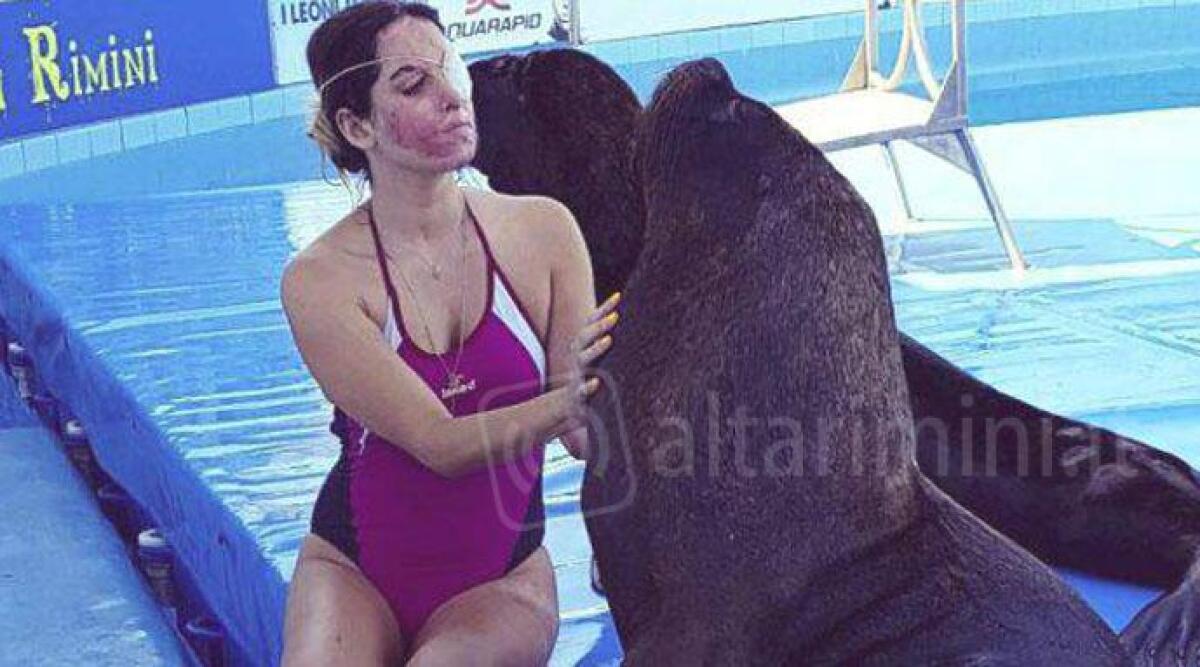 Animalisti condannano insulti a Gessica Notaro, ma: 'trasmetta impegno nel volontariato per altri animali bisognosi' - 