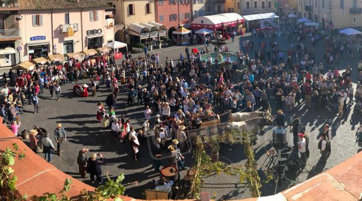 Novafeltria, sole e profumi d'autunno: esordio felice per la festa della vendemmia. Le FOTO - 