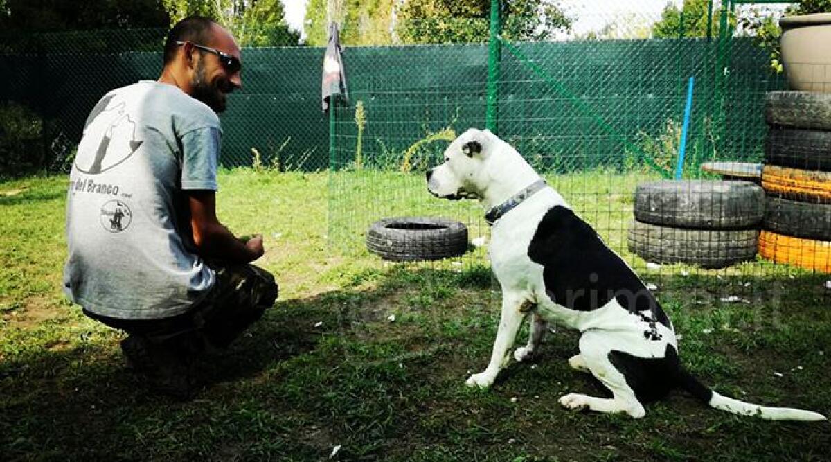 Il famoso Educatore e Istruttore Cinofilo Nicola Di Pardo ospite del canile di Rimini - 