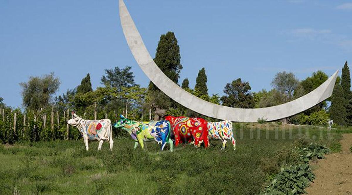 Il sogno realizzato di Giordano, produrre sangiovese biodinamico in un luogo intriso di arte - 