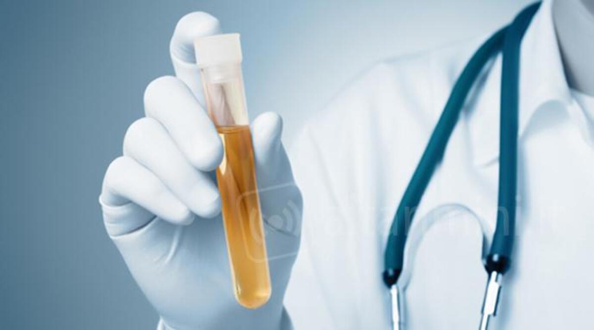 Medico dell'ospedale di Novafeltria scambia le sue urine per far eludere a ragazza il drug test -