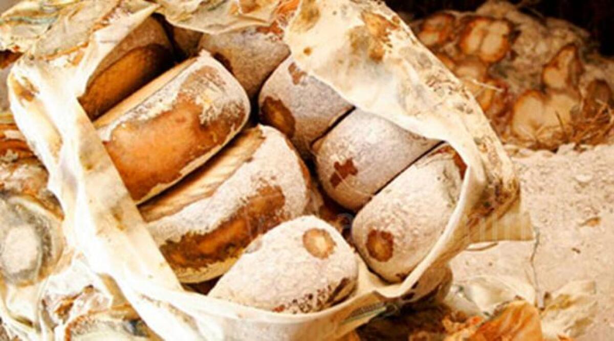 Talamello celebra l'Ambra: la fiera del formaggio di fossa torna con degustazioni, sport e arte -
