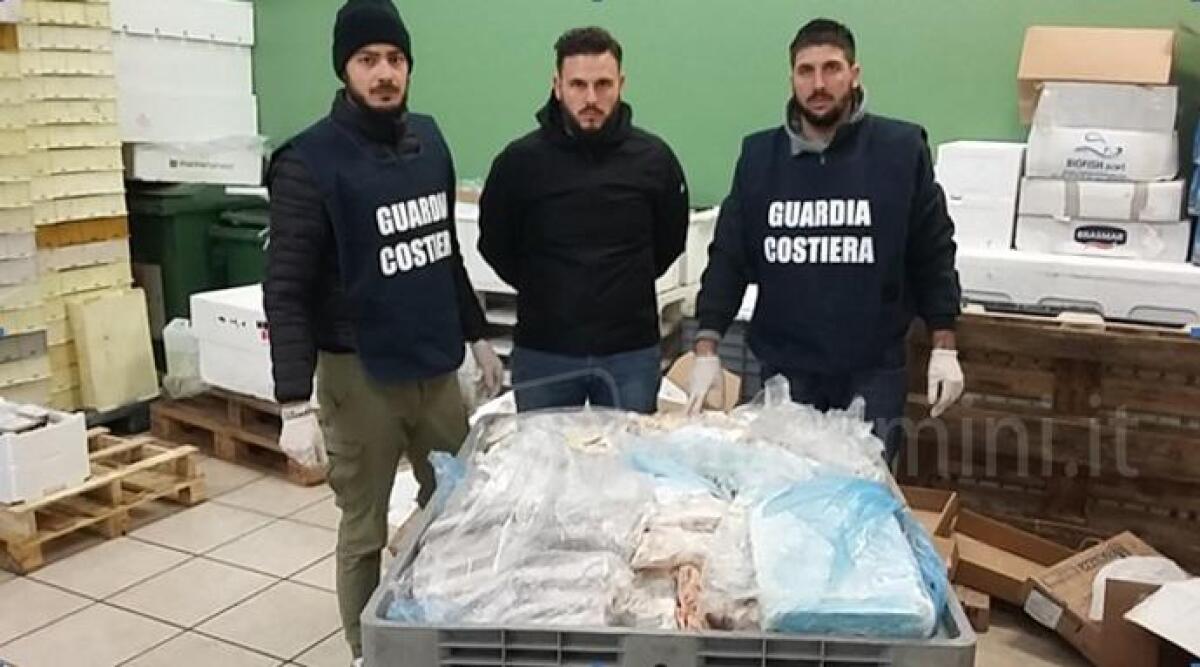 Operazione &lsquo;Dirty Market&rsquo;: sequestrati 400 chili di pesce nel riminese, sanzioni per 3000 euro - 