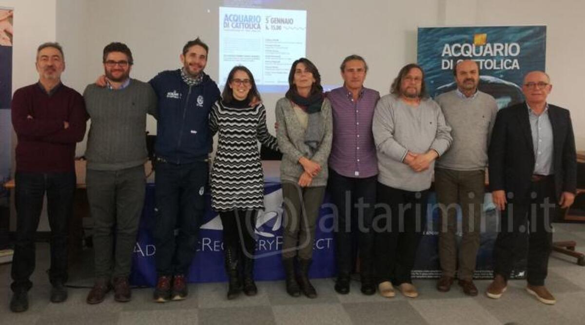 Squalo angelo a rischio estinzione: all'Acquario di Cattolica il punto sulla situazione del mare Adriatico - 