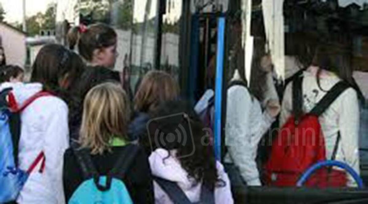 Trasporto a chiamata: il Conca Bus a Misano si estende anche al sabato -