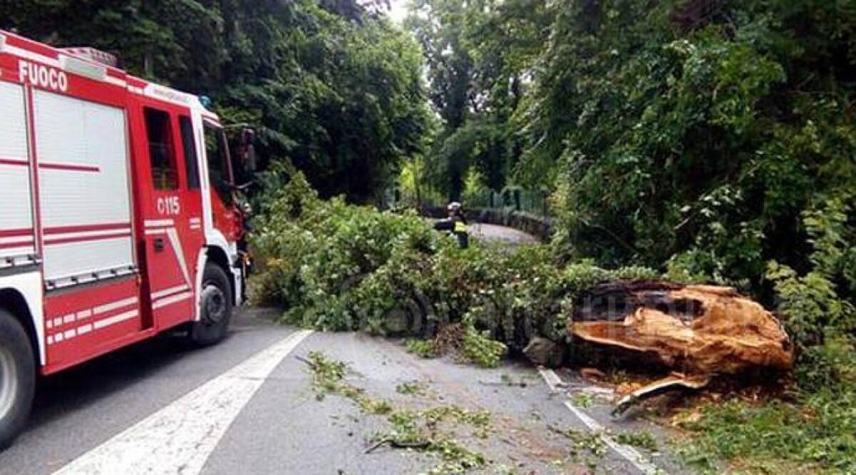 Vento forte, mattinata di lavoro per i vigili del fuoco in Valmarecchia - 