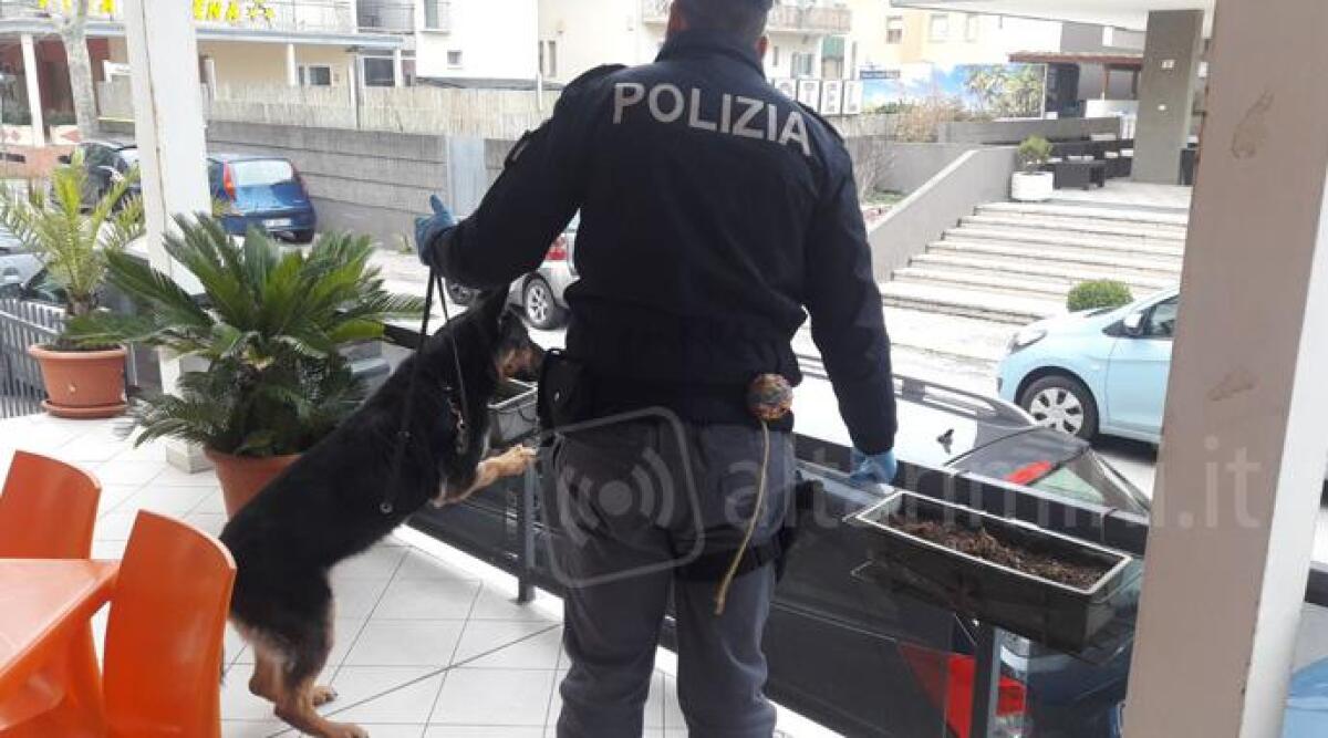 Dai controlli dei residence di Rivazzurra spunta un trans ricercato per furto e una donna clandestina - 
