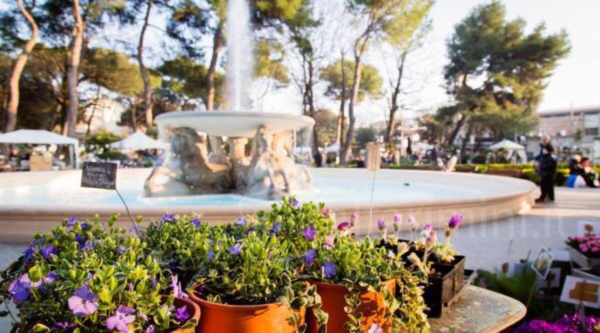 Week-end del 16, 17 e 18 marzo: cosa fare nel riminese. Le fogheracce, Giardini d'autore, musica e teatro - 
