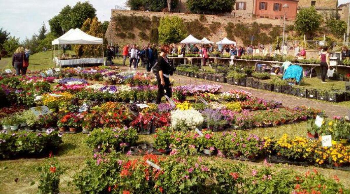 Saluserbe, dopo il pienone del fine settimana si avvia alla conclusione, mercoled&igrave; ultima giornata - 