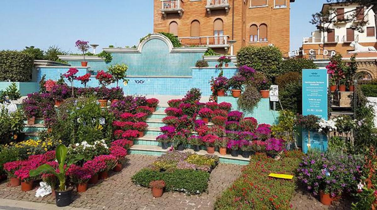 FOTO: al via &quot;Cattolica in Fiore&quot;, cinque giorni dedicati a fiori e piante nelle vie del centro - 
