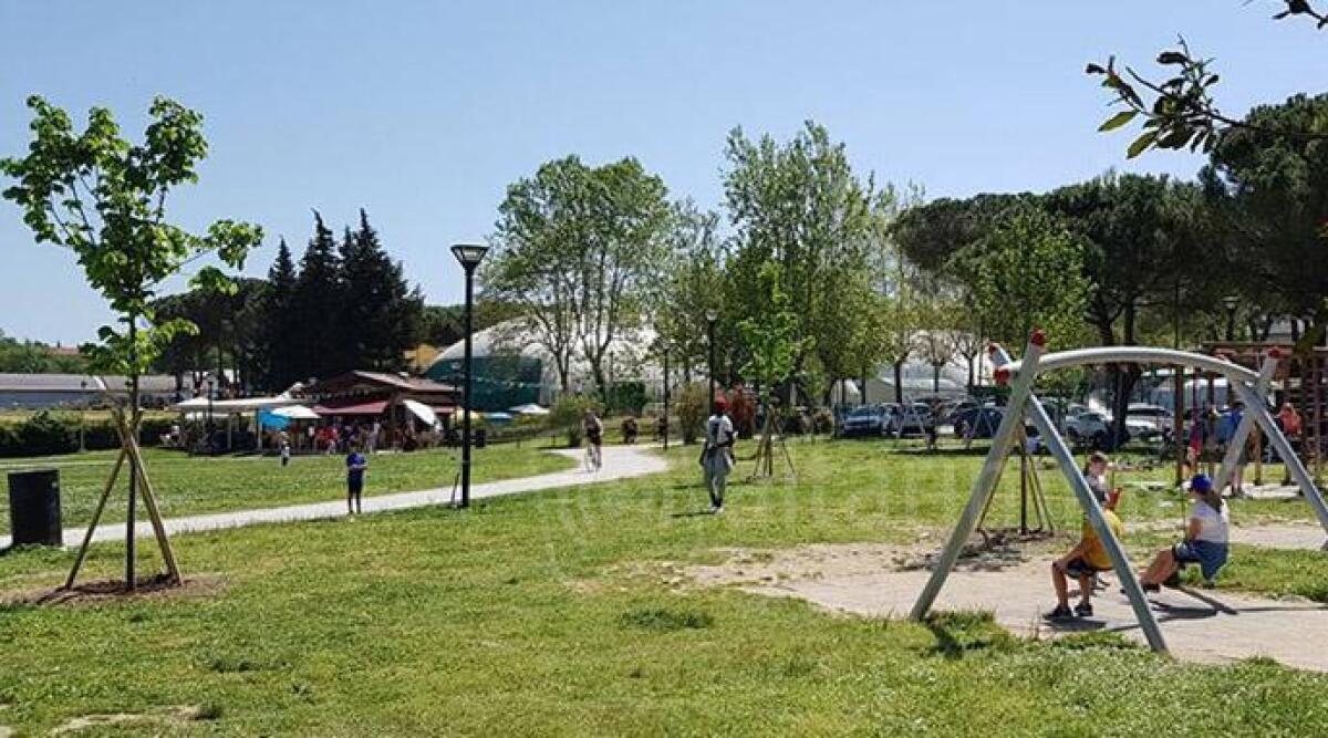 Morciano, rifiorisce il parco del Conca: nuove piante messe a dimora, sistemate le aiuole - 