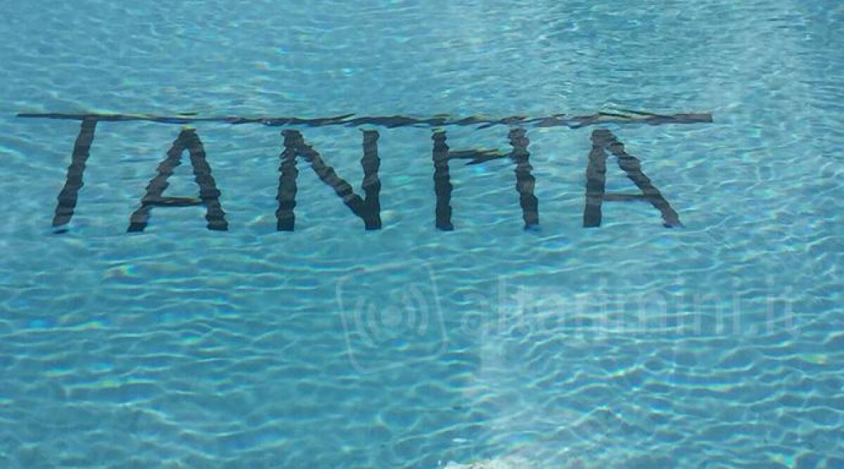 Ecco le immagini della nuova piscina del Tanha, inaugurazione luned&igrave; 11 giugno. Primo tuffo gratuito - 
