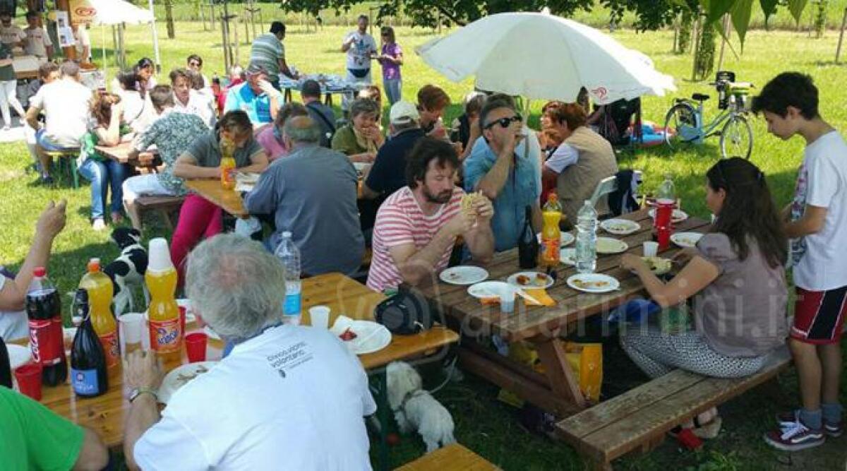 Sabato 14 luglio dalle ore 17 'Peep in festa' al Parco Lucio Battisti di Viserba - 