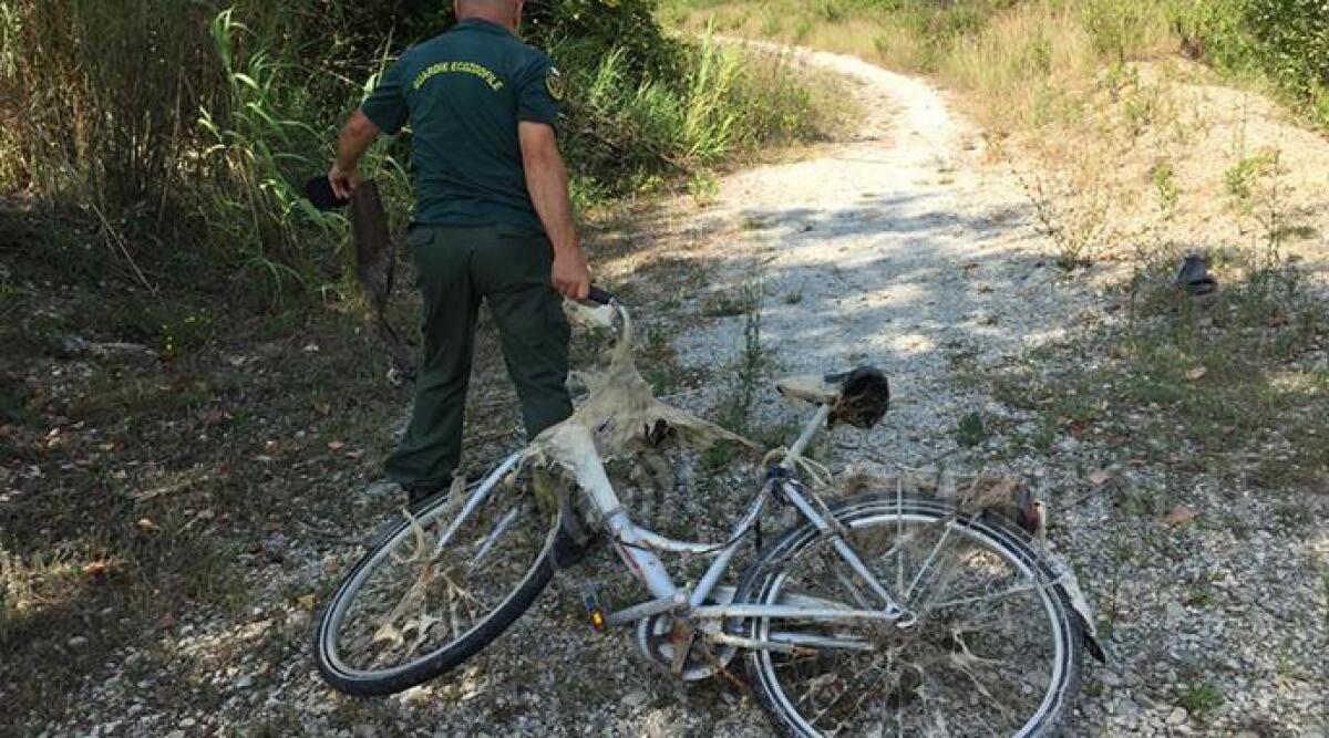 Rimini: incivilt&agrave; verso la natura, bicicletta e rottami metallici abbandonati nel lago - 
