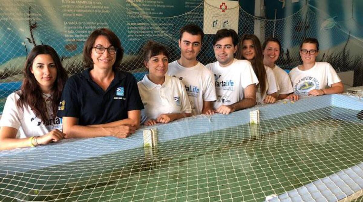Riccione: il bell'esempio di quattro adolescenti impegnati in estate nel volontariato. Le FOTO - 