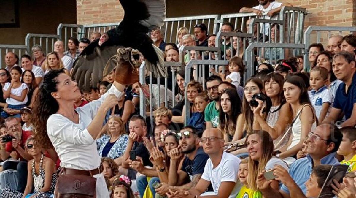 I fuochi d'artificio a suggello del Palio del Daino, il programma di domenica 19 agosto -