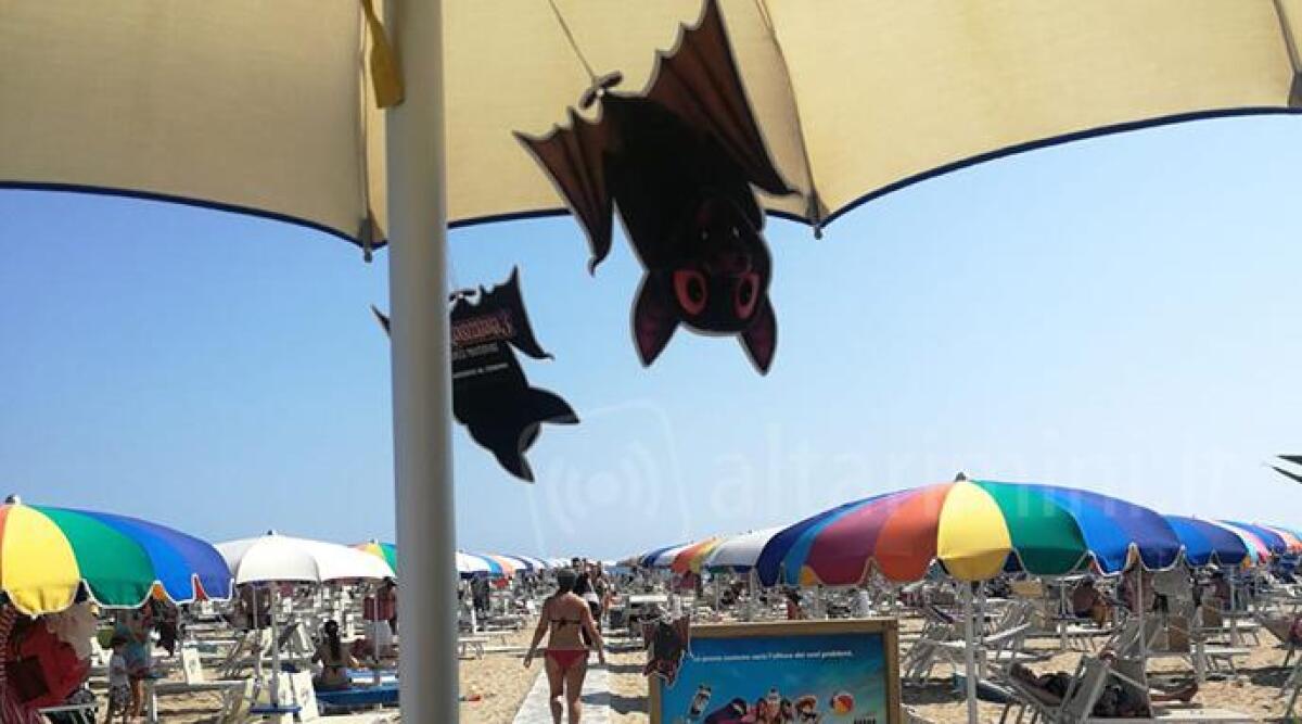 I pipistrelli del film di animazione Hotel Transilvania invadono la spiaggia di Rimini Sud - 