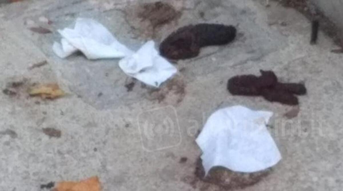 "Defecatoio a cielo aperto" a pochi passi dalla passerella galleggiante. Segnalazione a Rimini - 