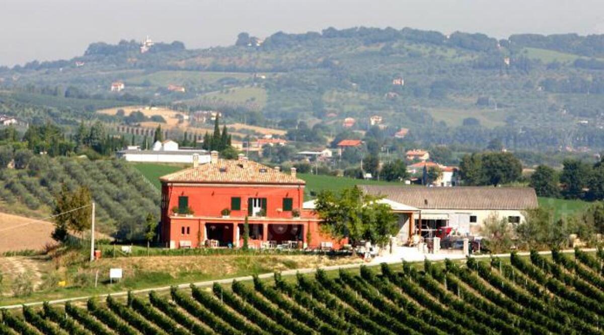 La tenuta Santini di Coriano tra le 100 cantine top d'Italia per il 'Golosaria' di Milano - 