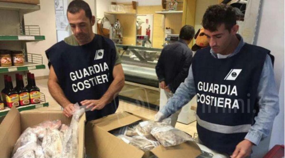 Rimini, negozi e ristoranti nei guai: sequestrati 40 chili di pesce e multe di 3mila euro - 