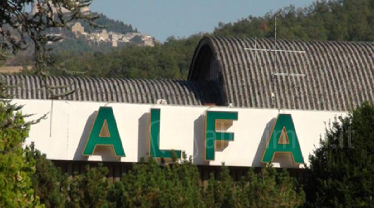 Novafeltria, l&rsquo;ex stabilimento Alfa Gru va all&rsquo;asta l'8 febbraio: vale due milioni e mezzo - 