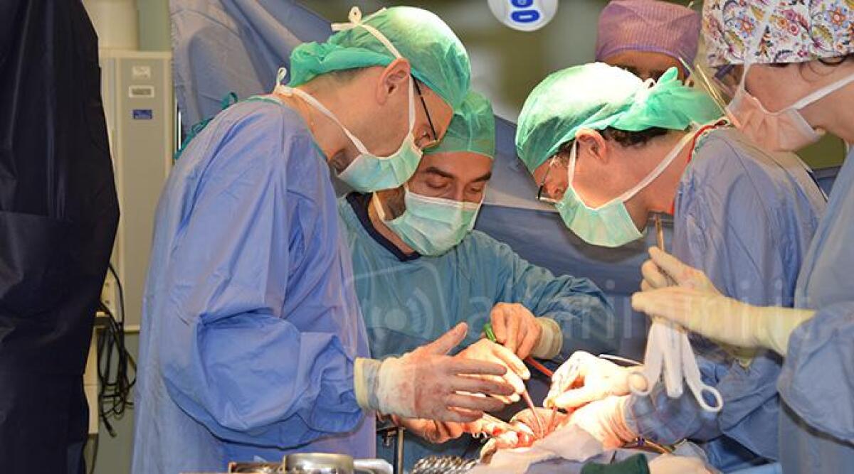 Novità per i pazienti che si devono sottoporre ad operazioni chirurgiche a bassa complessità -
