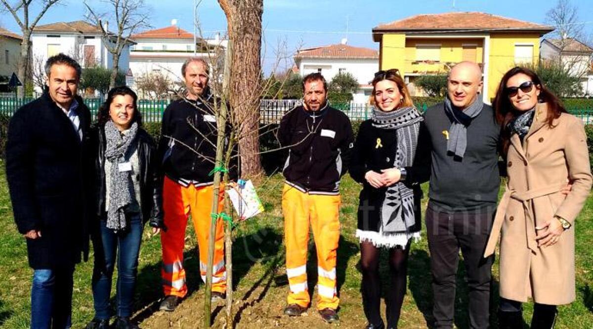 San Giovanni, piantato un melograno a scuola: simbolo della lotta al cancro infantile - 