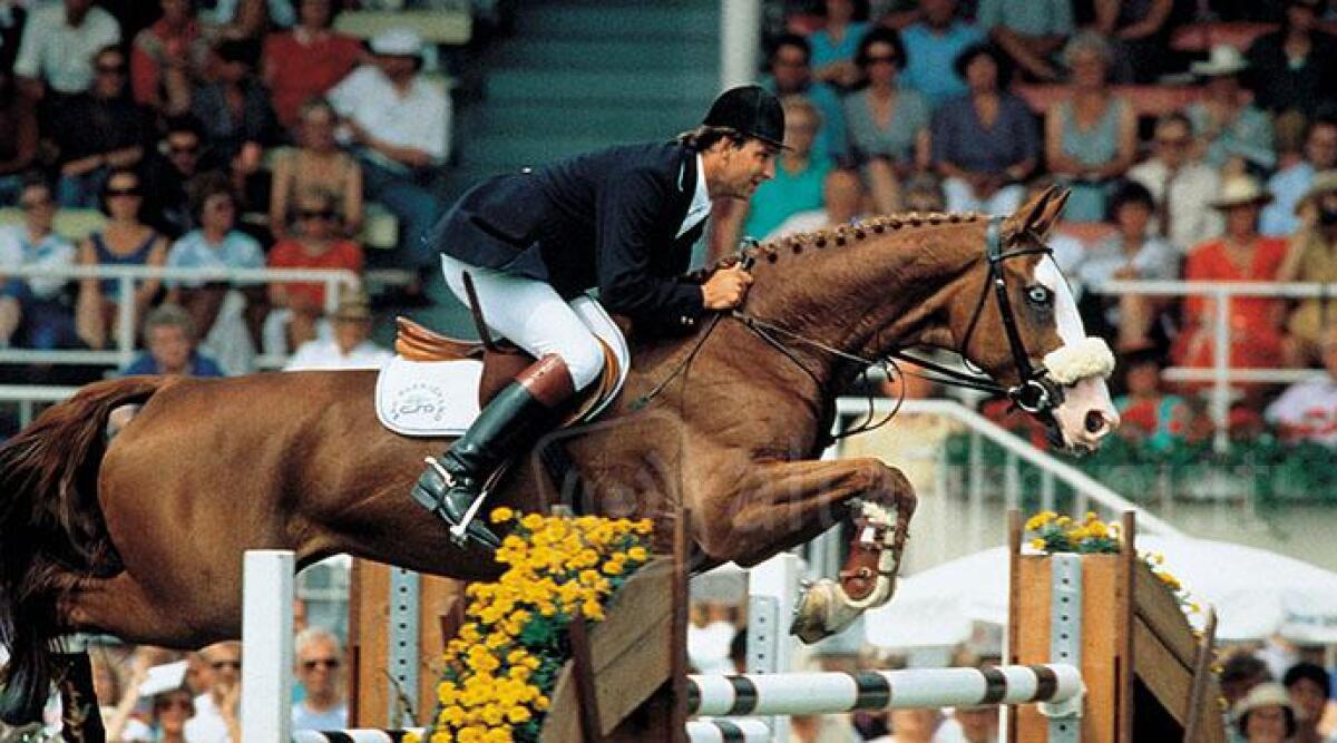Ci ha lasciato Weihaiwej, la cavalla dagli occhi azzurri campionessa del mondo ad ostacoli - 