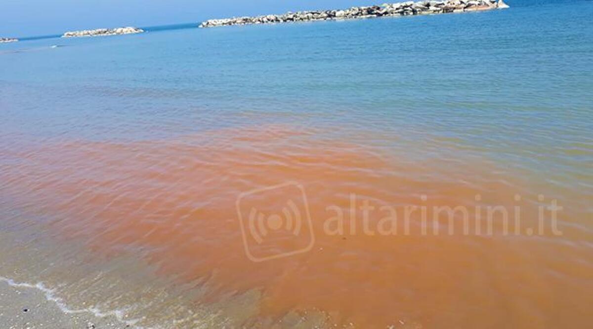 Rimini, continuano le segnalazioni per l'acqua rossa in mare - 