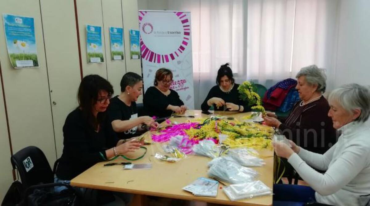 Festa della Donna tra mimose e solidariet&agrave; in provincia di Rimini - 