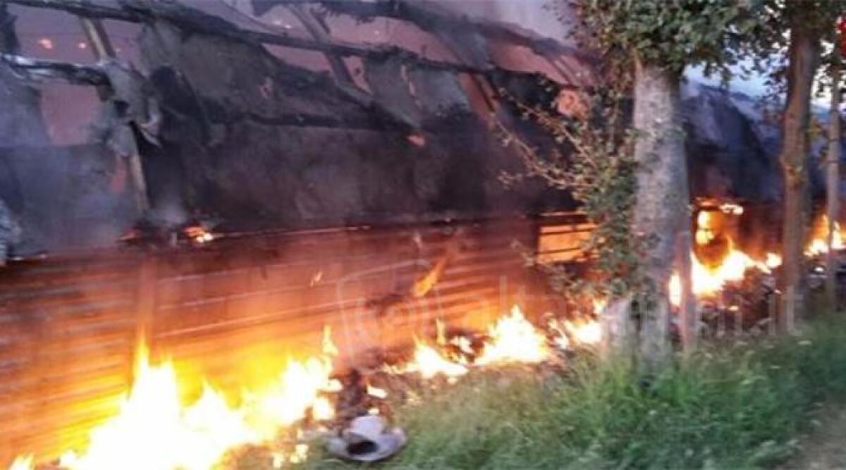 Incendio devasta capannone di un allevamento di quaglie -