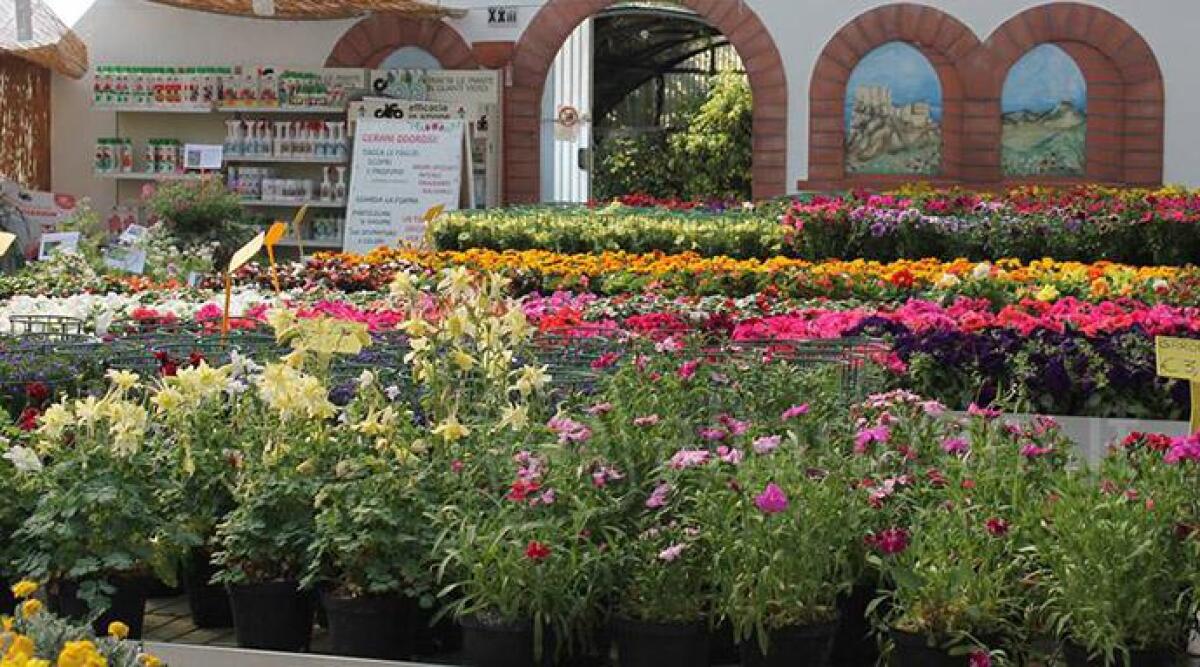 Vivaio Garden inaugura con una grande festa, ricco buffet e promozione 3x2 -