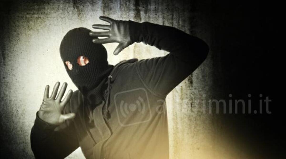 Ladro colto sul fatto mentre ruba in un negozio gi&agrave; vittima di diversi furti nelle ultime settimane - 