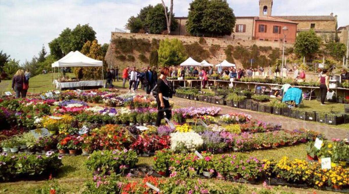 Torna SalusErbe, manifestazione dedicata alla natura e al mangiar sano -