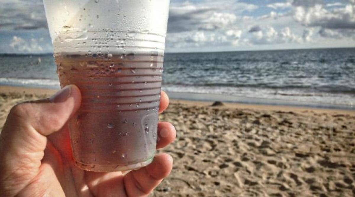Rimini, spiaggia "plastic free" e senza sigarette: arriva l'ordinanza balneare -