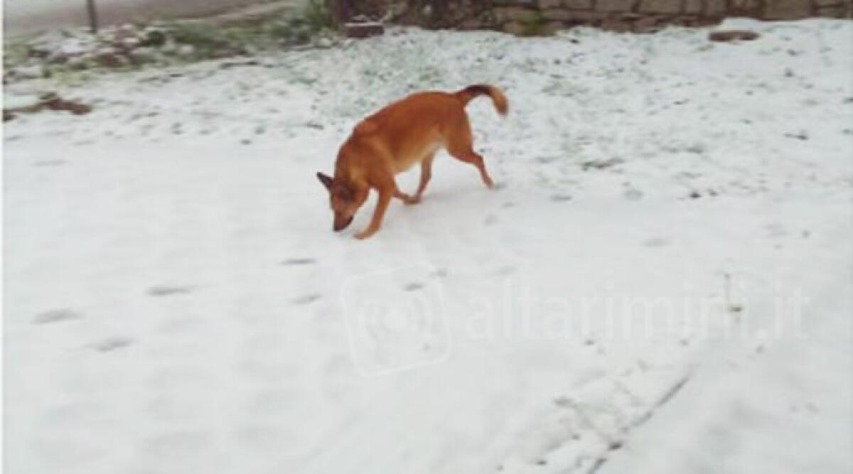 FOTO A metà maggio ancora neve nell'entroterra di Rimini -