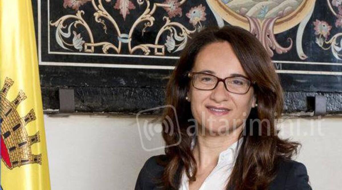 Stefania Sabba &egrave; il sindaco di Verucchio: 'vinta una partita difficile' - 