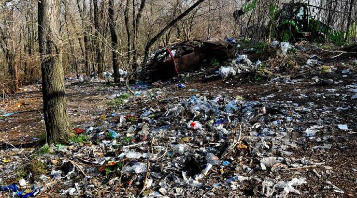 Partorisce nel bosco degli spacciatori, San Patrignano le offre accoglienza - 
