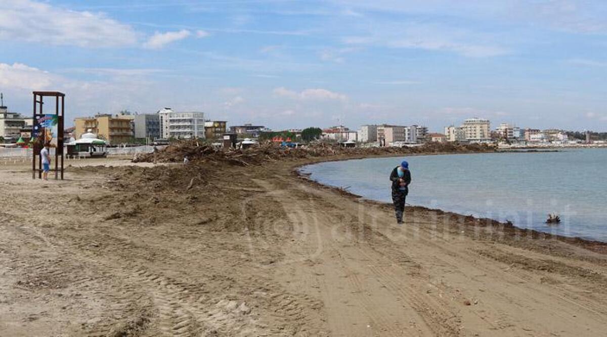 Spiagge di Rimini invase della legna dopo il forte maltempo: prosegue opera di pulizia - 