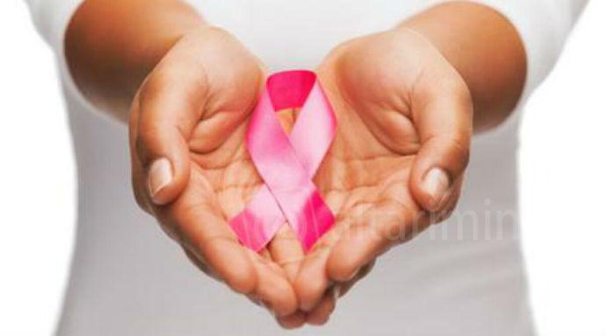 Festa del Punto Rosa di Santarcangelo: sul palco Debora Villa con altri artisti - 